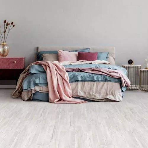 1402 Сосна Апиа