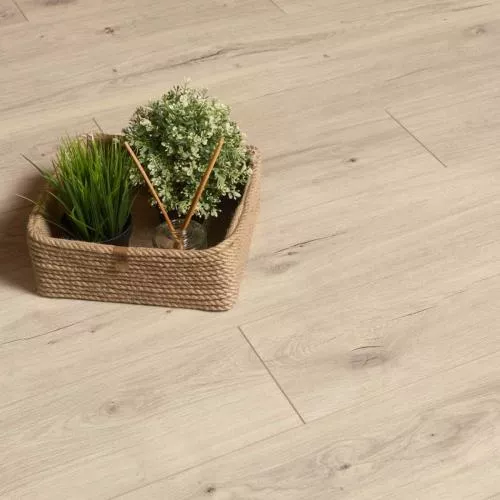 3470 Дуб Ривьера