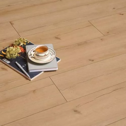 403 Дуб Локрум