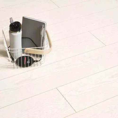 404 Дуб Дьюберри