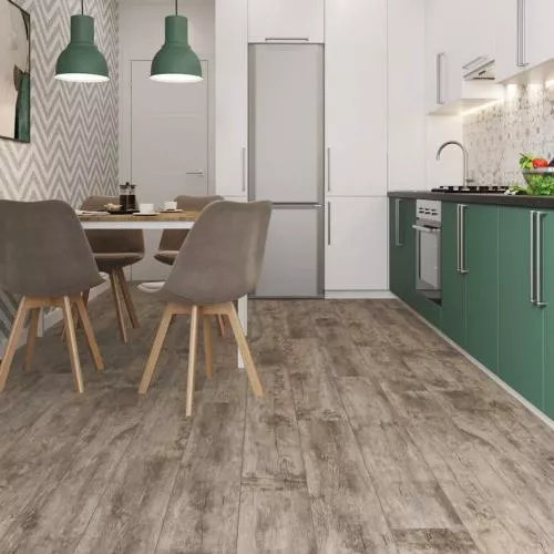 7048 Дуб Рюген