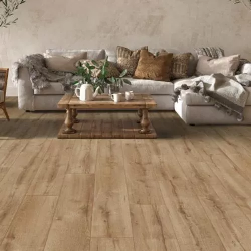 303 Дуб Левантийский