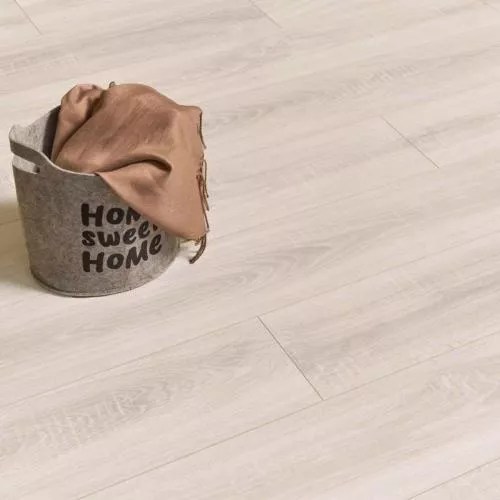 8011 Дуб Полярный