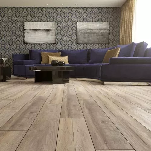 D1871 Дуб Небесный