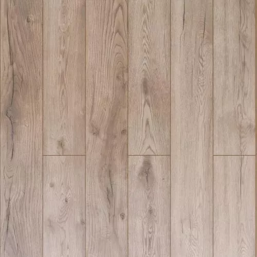 D4763 Дуб Мелоди