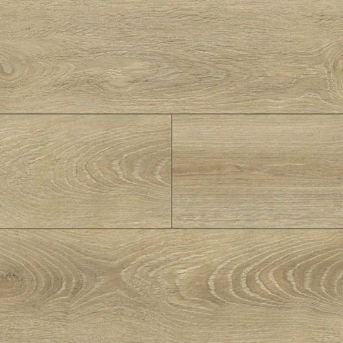 8541 Лафайет WS