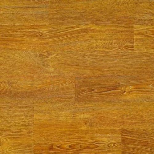 1222 Дуб Авиано