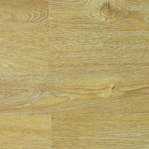 1221 Дуб Фоджо