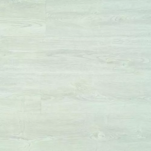 91724-12 Дуб Северный