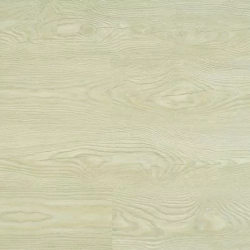 D117 Дуб Европейский