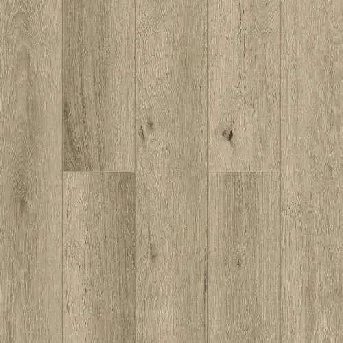 LF110-04 Дублин