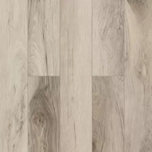 LF110-06 Гассен