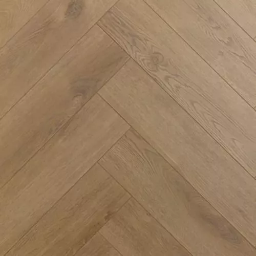 529 Дуб Миндаль