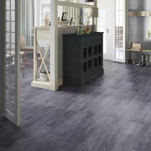 41525 Багатель