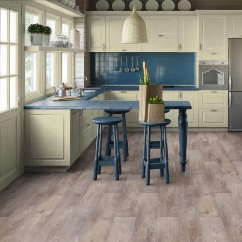 41565 Сарсуэла