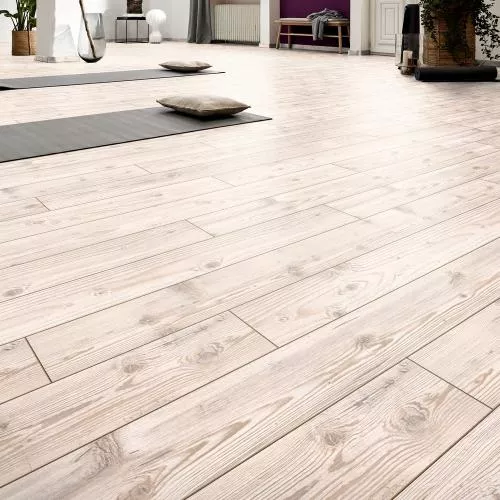 D2967 Пихта Сибирская