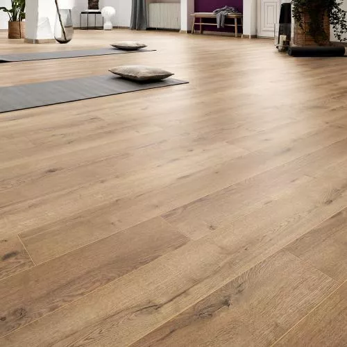 D3668 Дуб Неброский