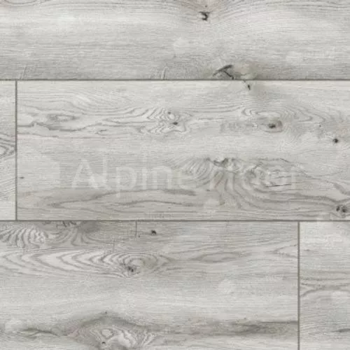 54847 Дуб Сильверстоун