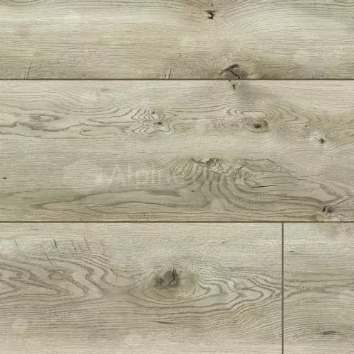 54848 Дуб Индианаполис