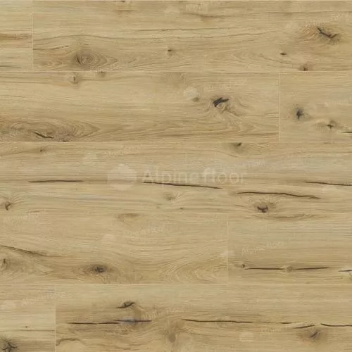 62747 Дуб Анаргоса