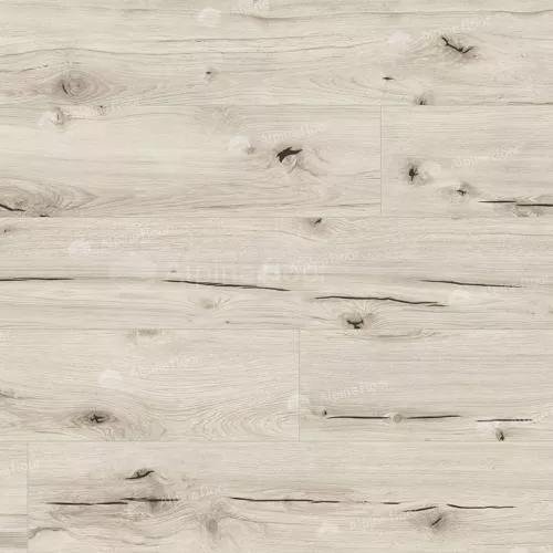 62749 Дуб Дарфур