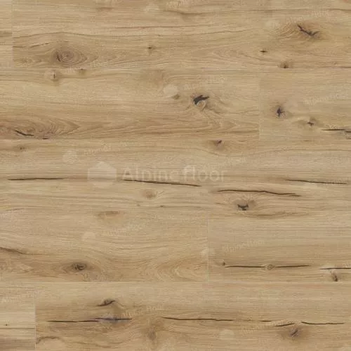 62751 Дуб Гибсон