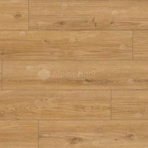 62752 Дуб Хамра