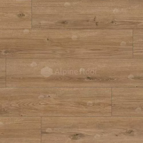 62754 Дуб Катам