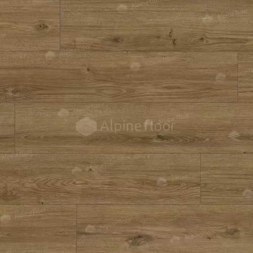 62755 Дуб Котор