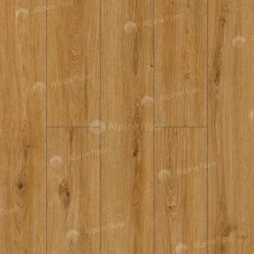 62756 Дуб Макан