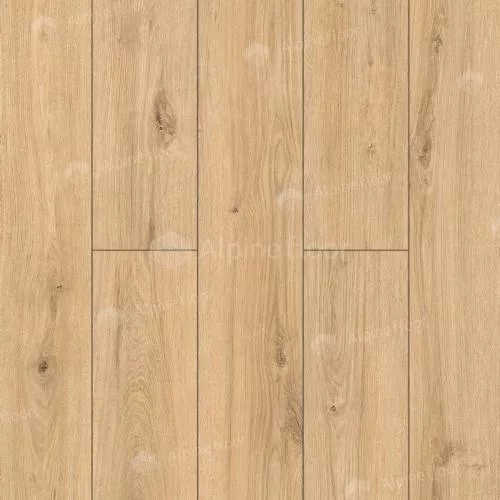 62757 Дуб Намиб