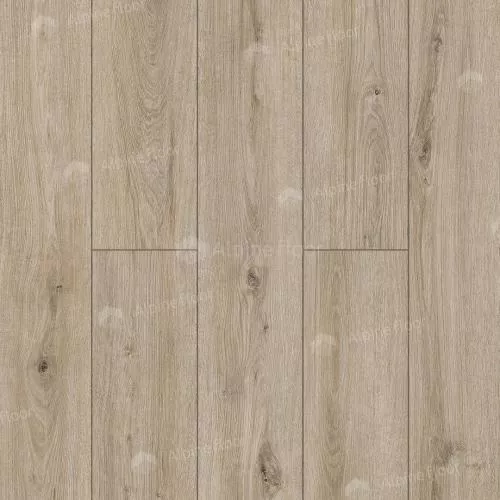 62758 Дуб Нефуд