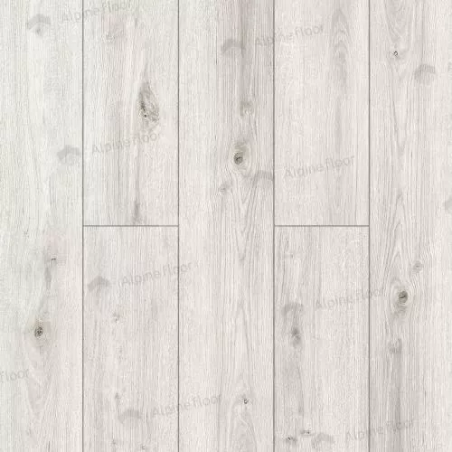 62759 Дуб Негев