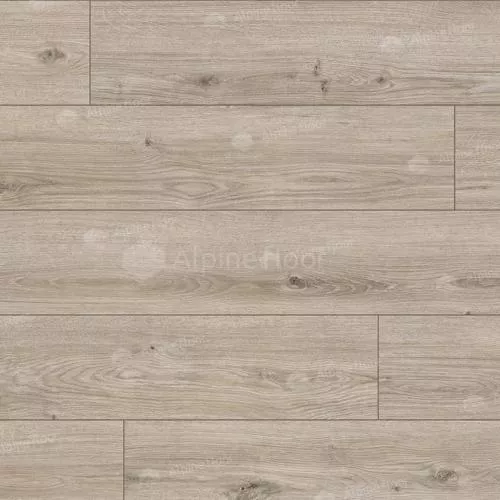 62760 Дуб Ордос