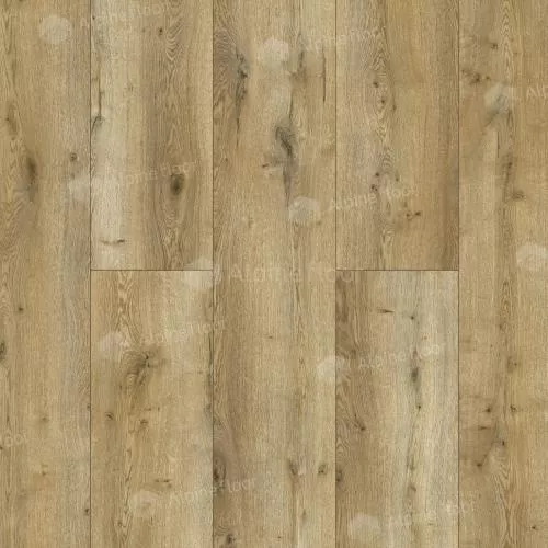 54813 Дуб Накуру