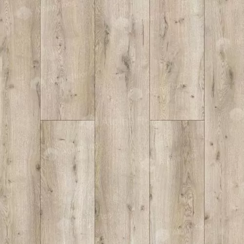 54821 Дуб Иеллоустоун