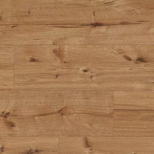 55086 Дуб Эльбрус