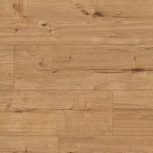 55088 Дуб Калахари