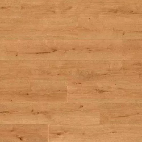 Balterio Traditions 61019 Лесной дуб