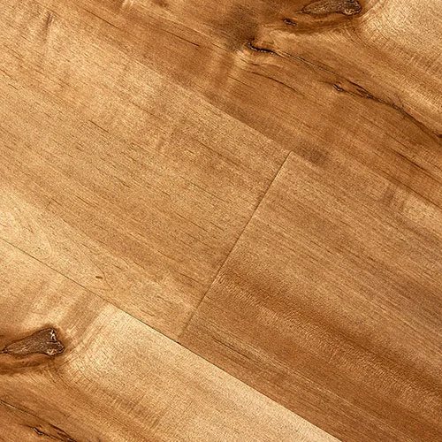 B8003 Клён Азиатский