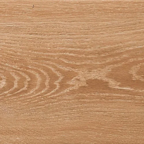 5005 Каштан Южный