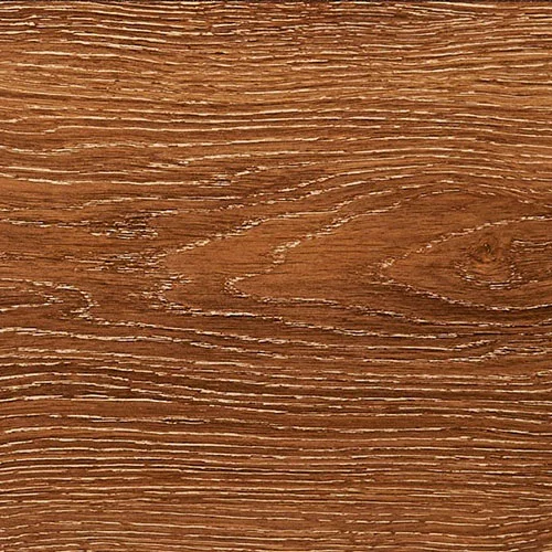 1506107 Дуб Фламандский