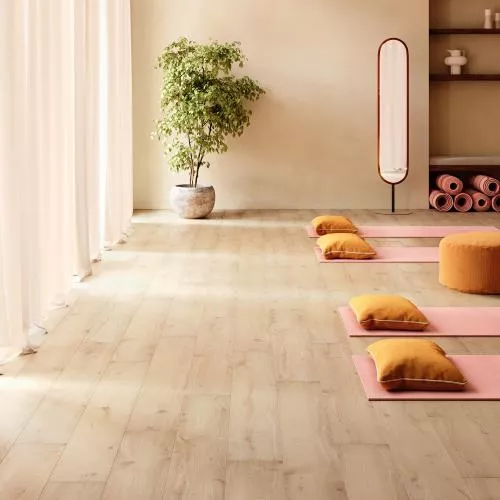 2500 V4 Гиант Светло-Бежевый