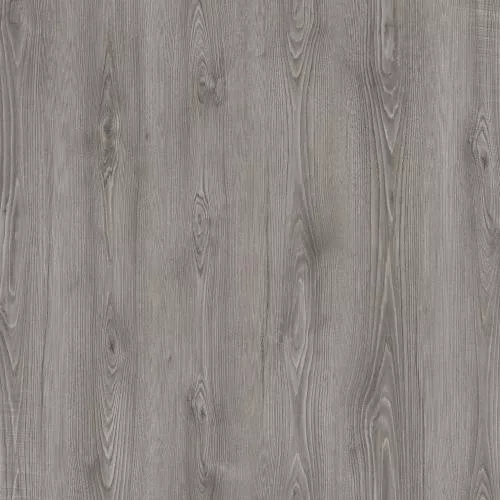 AI 1006 Карпаты