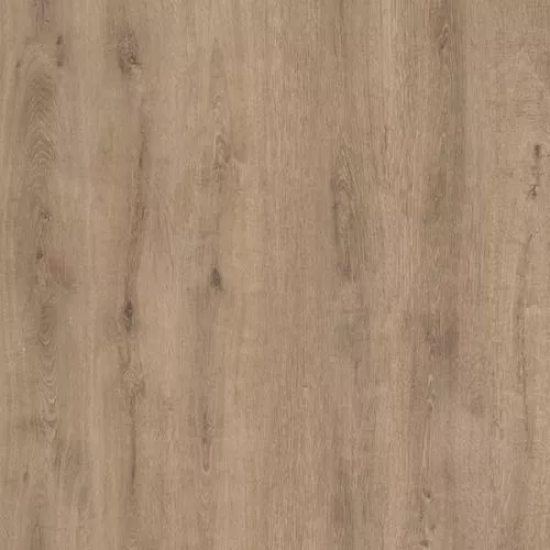 DN 2005 Дуб Сакарья