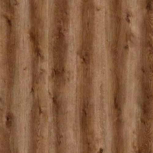 GN 207 Дуб Айдос