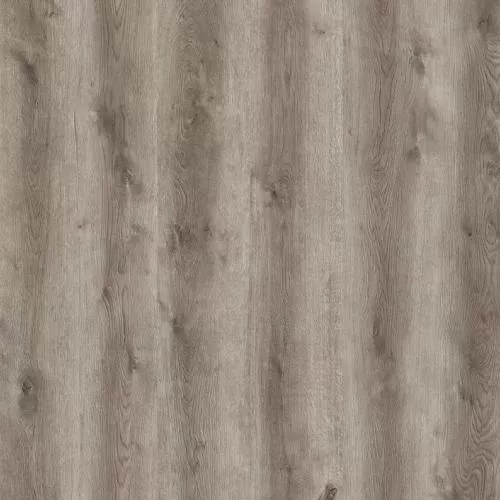 GN 427 Дуб Румели