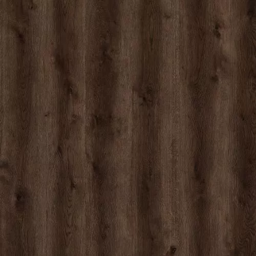 GN 727 Дуб Кунда