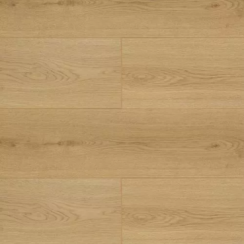 NR 907 Дуб Кавказ