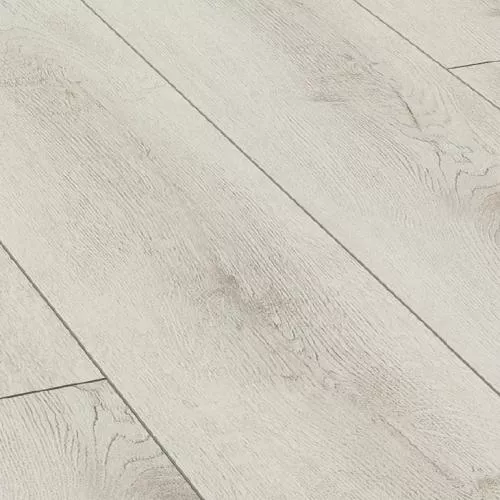 0723 Дуб София